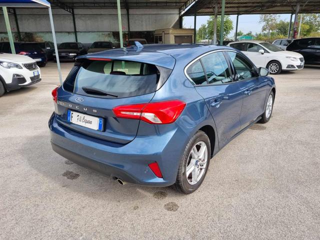 Ford Focus 1.5 Ecoblue 120cv Business Co-Pilot - foto 4 di 4