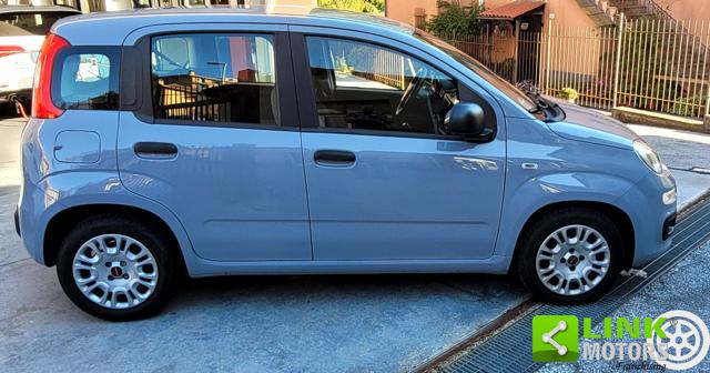 Fiat Panda 1.0 Hybrid 70 CV Easy - foto 3 di 4