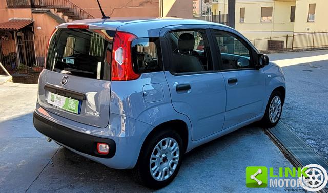 Fiat Panda 1.0 Hybrid 70 CV Easy - foto 4 di 4
