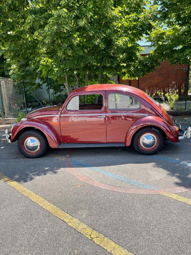 Volkswagen Maggiolino Maggiolino - foto 4 di 4