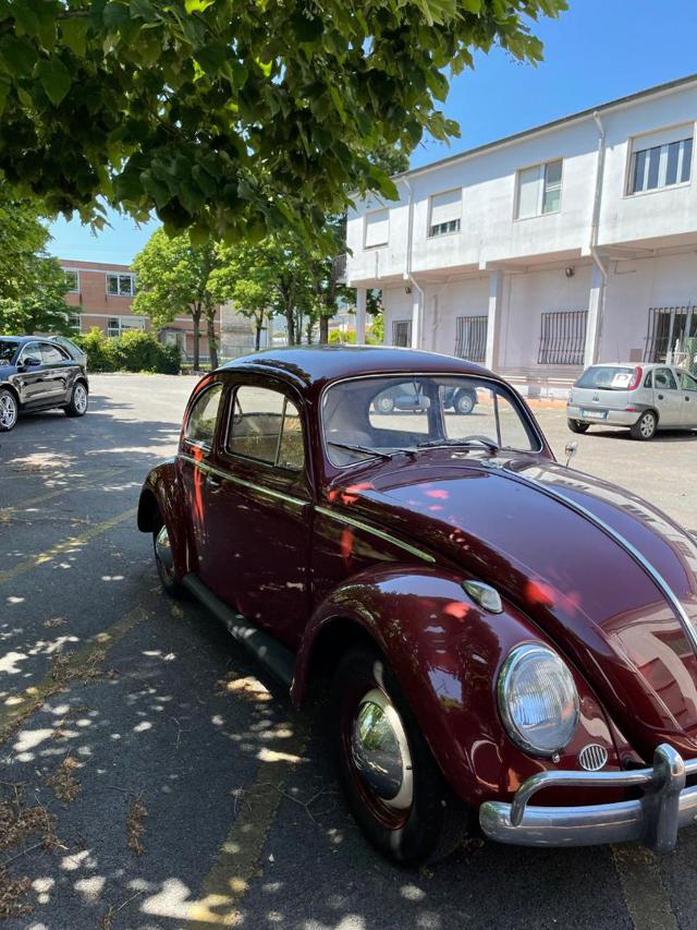 Volkswagen Maggiolino Maggiolino, del 1959, 44.000 km, in vendita a Lucca (LU)