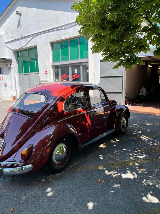 Volkswagen Maggiolino Maggiolino - foto 2 di 4
