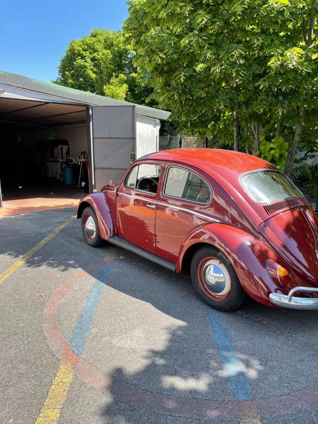 Volkswagen Maggiolino Maggiolino - foto 3 di 4