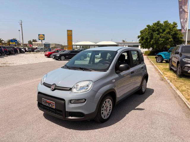 Fiat Panda 1.0 FireFly S&S Hybrid - foto 4 di 4