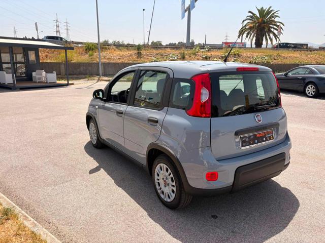 Fiat Panda 1.0 FireFly S&S Hybrid - foto 3 di 4