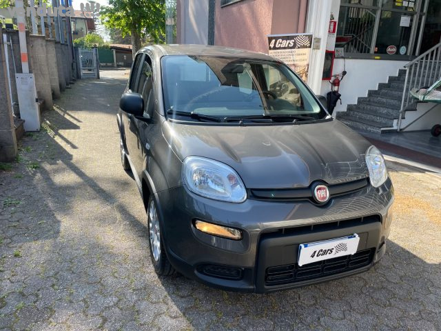 Fiat Panda 1.0 FireFly S&S Hybrid usato a CARONNO PERTUSELLA
