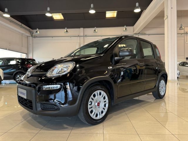 Fiat Panda 1.0 FireFly S&S Hybrid SOLI 5.300 KM PREZZO REALE usato a CORTEMAGGIORE