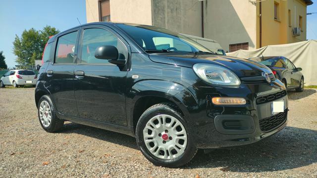 Fiat Panda 1.2 69 CV Easy BENZINA EURO 6 usato a SANT AGATA SUL SANTERNO