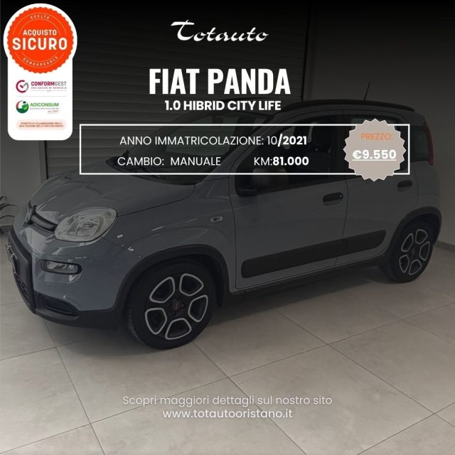 Fiat Panda 1.0 FireFly S&S Hybrid City Life usato a GHILARZA