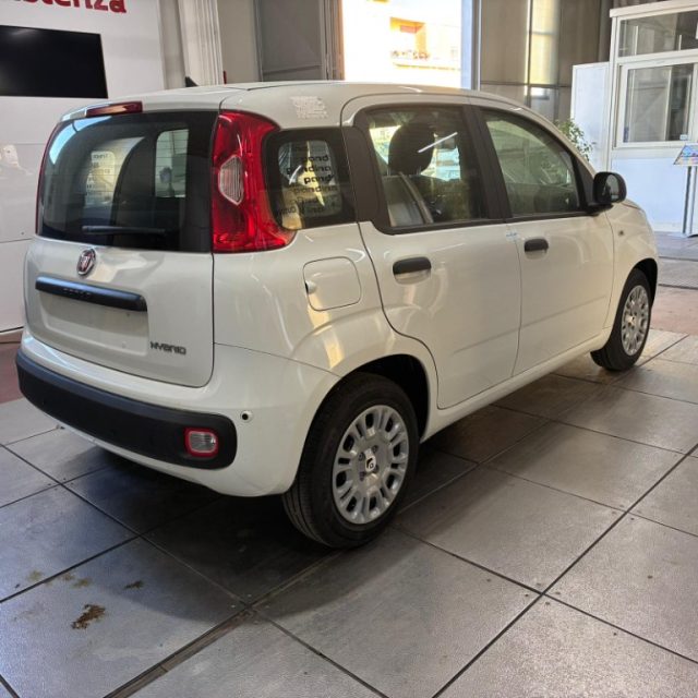 Fiat Pandina 1.0 FireFly 65 CV Hybrid Pop - foto 4 di 4