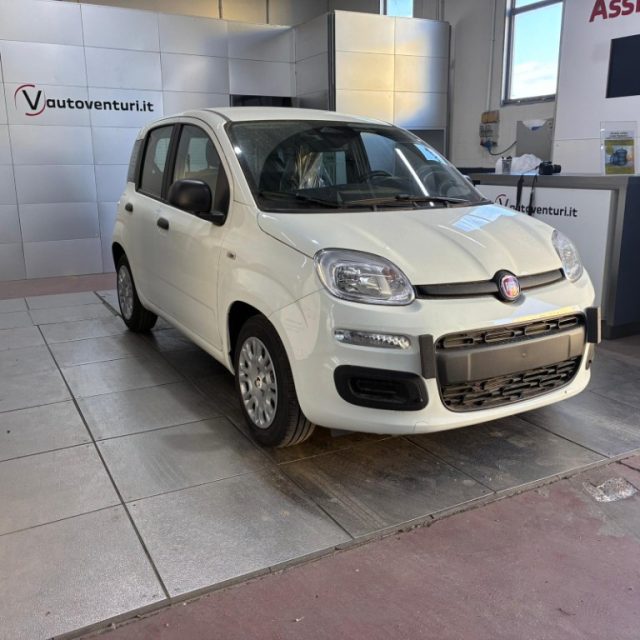 Fiat Pandina 1.0 FireFly 65 CV Hybrid Pop usato a CIVITA CASTELLANA