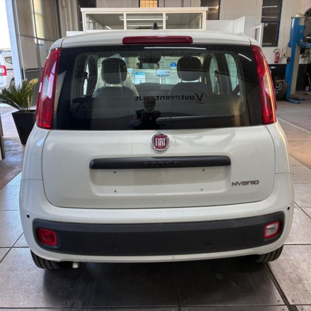 Fiat Pandina 1.0 FireFly 65 CV Hybrid Pop - foto 3 di 4