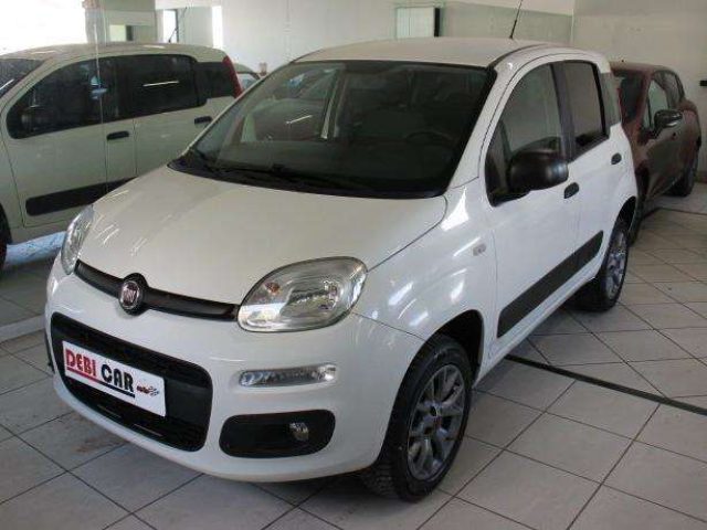 Fiat Panda 1.3 MJet 4x4 usato a CALVI RISORTA
