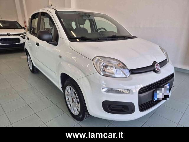 Fiat Panda 1.2 EasyPower *GPL* usato a VASTO