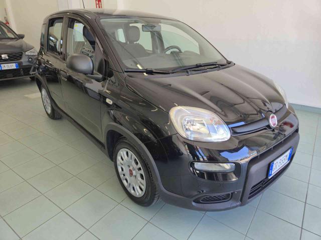 Fiat Panda 1.0 FireFly S&S Hybrid usato a VASTO