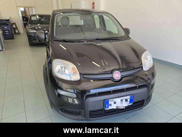 Fiat Panda 1.0 FireFly S&S Hybrid - foto 3 di 4