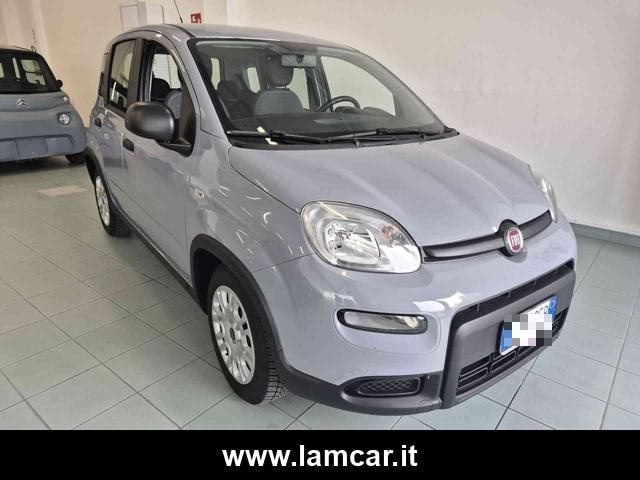 Fiat Panda 1.0 FireFly S&S Hybrid City Life usato a VASTO