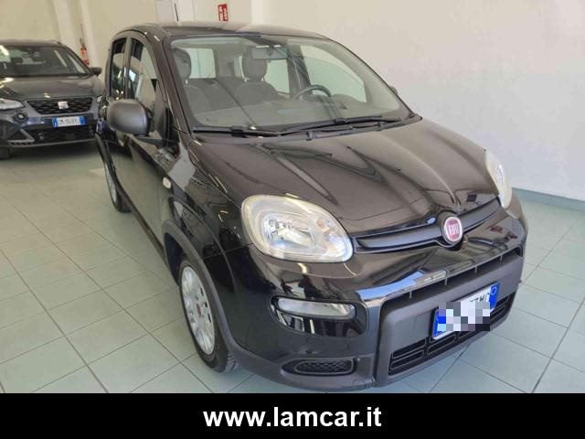 Fiat Panda 1.0 FireFly S&S Hybrid - foto 2 di 19
