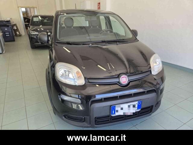 Fiat Panda 1.0 FireFly S&S Hybrid - foto 3 di 19