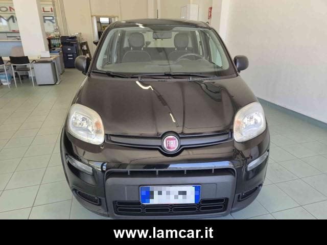 Fiat Panda 1.0 FireFly S&S Hybrid - foto 4 di 19