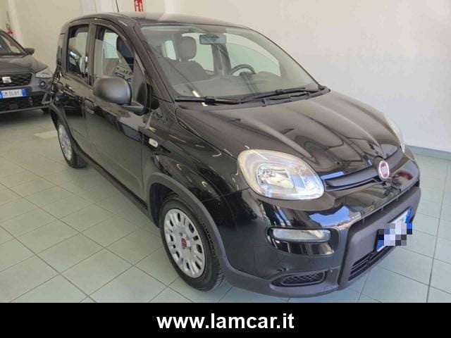 Fiat Panda 1.0 FireFly S&S Hybrid, del 2023, 61.000 km, in vendita a Vasto (CH)