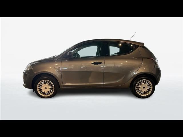 Lancia Ypsilon 5 Porte 1.2 69cv Elefantino S&S - foto 4 di 4