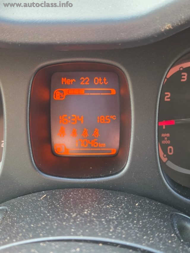Fiat Panda Cross 1.0 FireFly S&S Hybrid usato a BRIGA NOVARESE