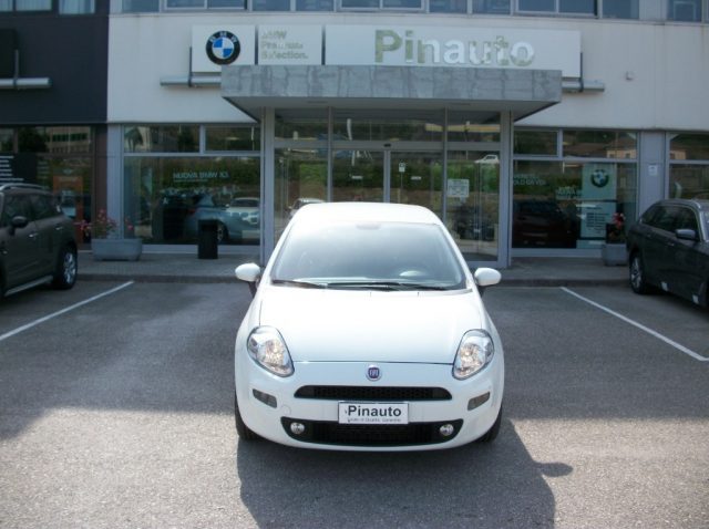Fiat Punto 1.3 MJT II S&S 85 CV 5 porte ECO Street usato a CEPPALONI