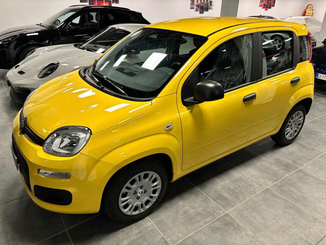 Fiat Panda 1.0 FireFly S&S Hybrid Pop - KM 0 - PREZZO PROMO usato a BUSTO ARSIZIO