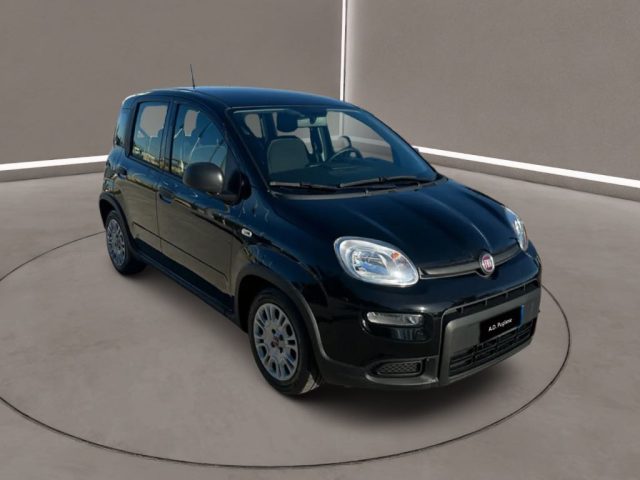 Fiat Panda 3� serie - 1.0 FireFly S&S Hybrid usato a CALTANISSETTA