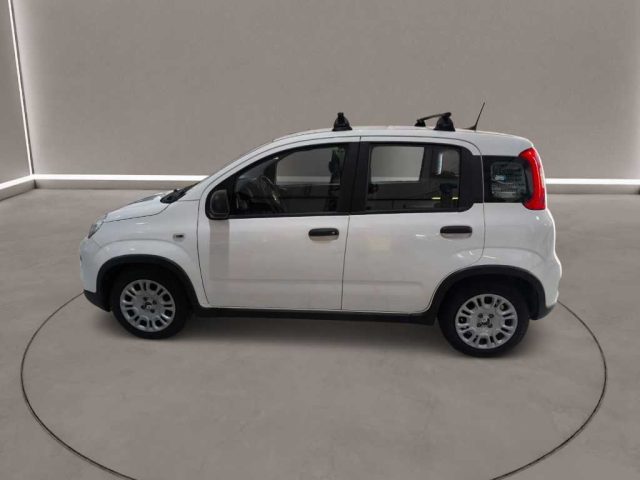 Fiat Panda 3ª serie - 1.0 FireFly S&S Hybrid - foto 4 di 4