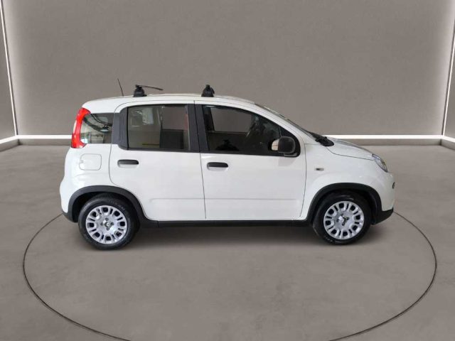 Fiat Panda 3ª serie - 1.0 FireFly S&S Hybrid - foto 3 di 4