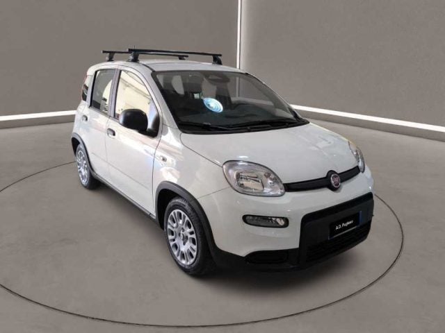 Fiat Panda 3ª serie - 1.0 FireFly S&S Hybrid - foto 3 di 4