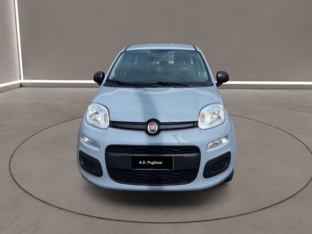 Fiat Panda 3ª serie - 1.0 FireFly S&S Hybrid - foto 2 di 4