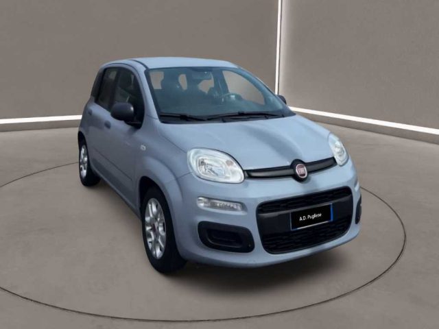 Fiat Panda 3ª serie - 1.0 FireFly S&S Hybrid - foto 3 di 4
