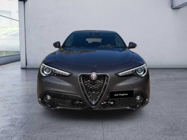 Alfa Romeo Stelvio - 2.2 Turbodiesel 160 CV AT8 RWD Sprint - foto 2 di 4