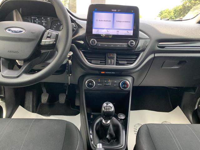 Ford Fiesta 1.5 EcoBlue 5 porte Plus usato a CITTA' DI CASTELLO