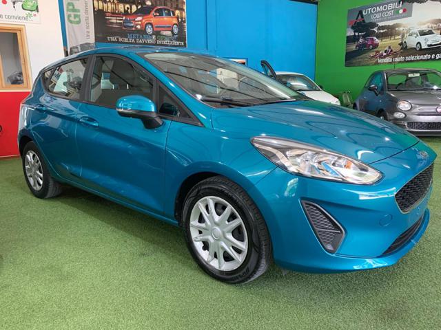 Ford Fiesta 1.5 EcoBlue 5 porte Plus usato a CITTA' DI CASTELLO