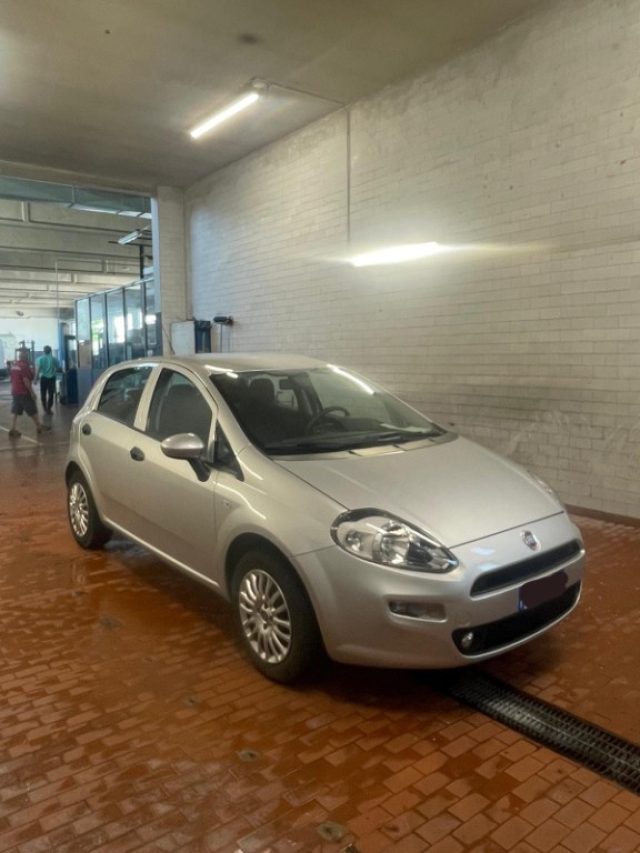 Fiat Punto 1.2 8V 5 porte Street usato a CASTEGGIO