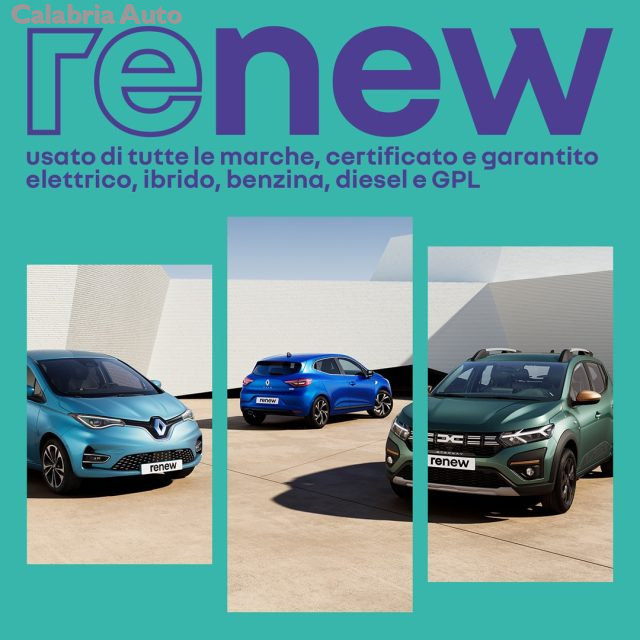 Ford EcoSport 1.0 EcoBoost 125 CV Start&Stop ST-Line usato a GIOIA TAURO
