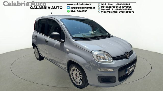 Fiat Panda 1.0 FireFly S&S Hybrid - foto 3 di 4