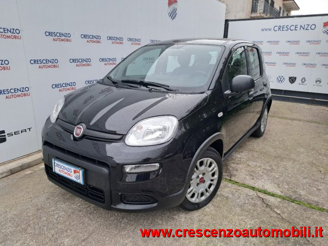 Fiat Panda 1.0 FireFly S&S Hybrid Pandina - AZIENDALE - foto 2 di 4
