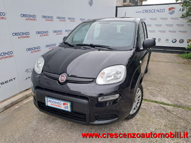 Fiat Panda 1.0 FireFly S&S Hybrid Pandina - AZIENDALE usato a NOCERA SUPERIORE