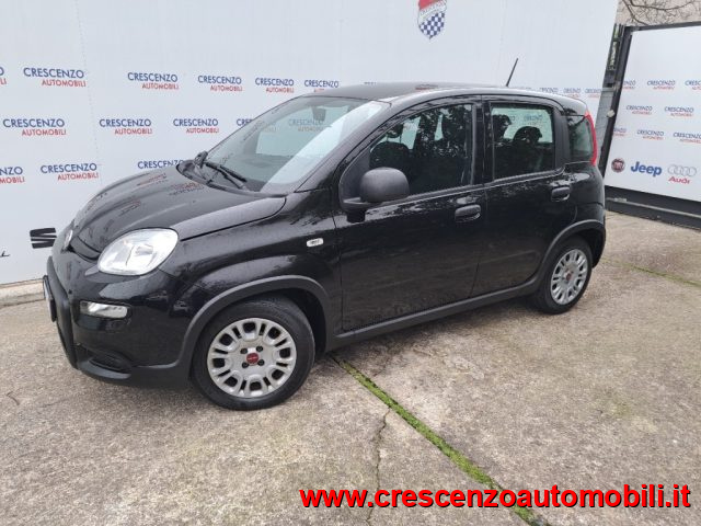 Fiat Panda 1.0 FireFly S&S Hybrid Pandina - AZIENDALE - foto 4 di 4