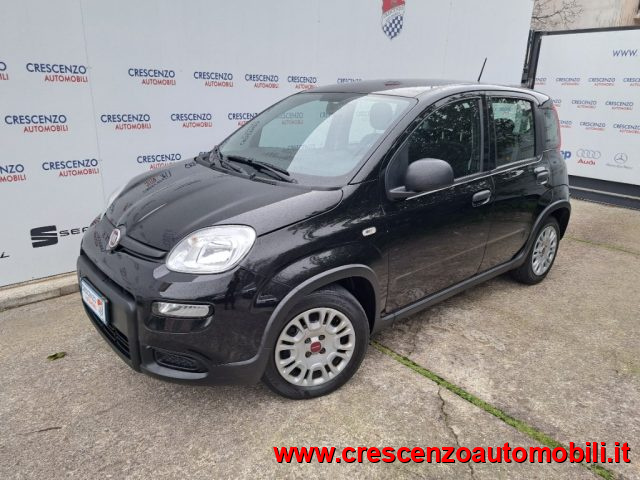 Fiat Panda 1.0 FireFly S&S Hybrid Pandina - AZIENDALE - foto 3 di 4