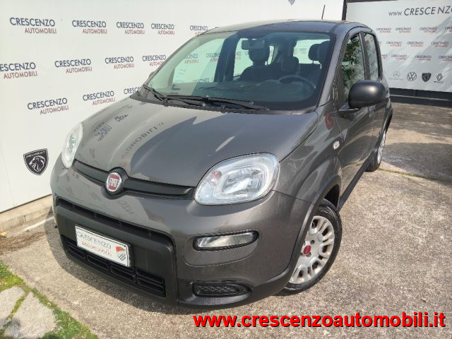 Fiat Panda 1.0 FireFly S&S Hybrid City Life - AZIENDALE - foto 3 di 4