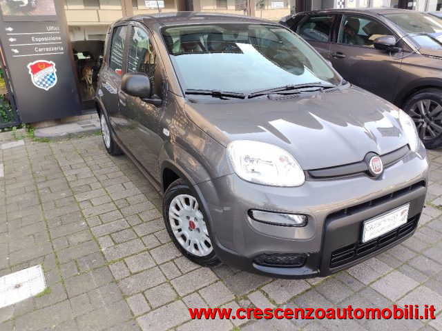 Fiat Panda 1.0 FireFly S&S Hybrid City Life - AZIENDALE - foto 4 di 4