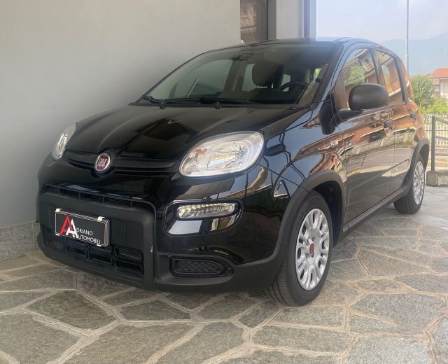 Fiat Panda 1.0 FireFly S&S Hybrid usato a BAGNOLO PIEMONTE