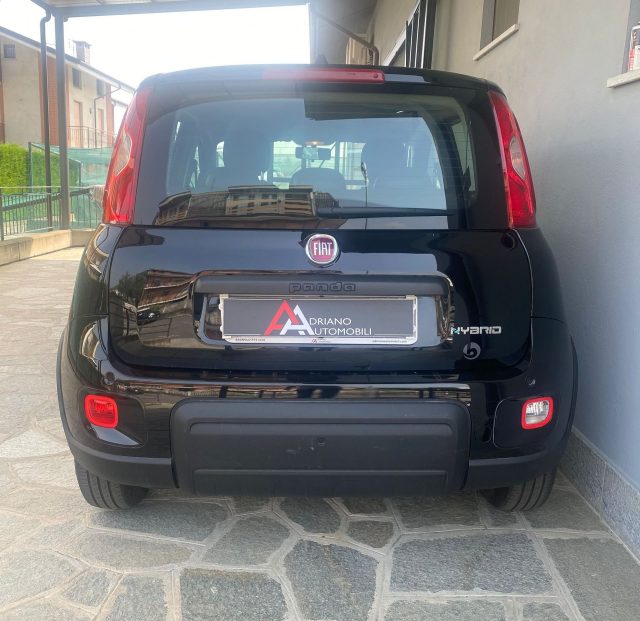 Fiat Panda 1.0 FireFly S&S Hybrid - foto 4 di 4