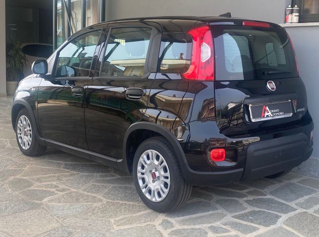 Fiat Panda 1.0 FireFly S&S Hybrid - foto 3 di 4